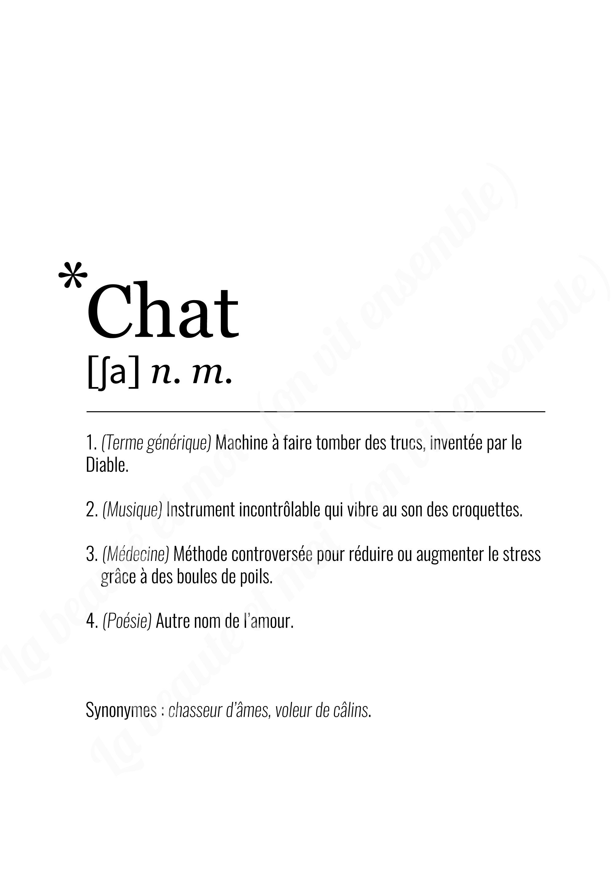 Definition Of The Word Cat Poster Format Or A3 On Paper Etsy