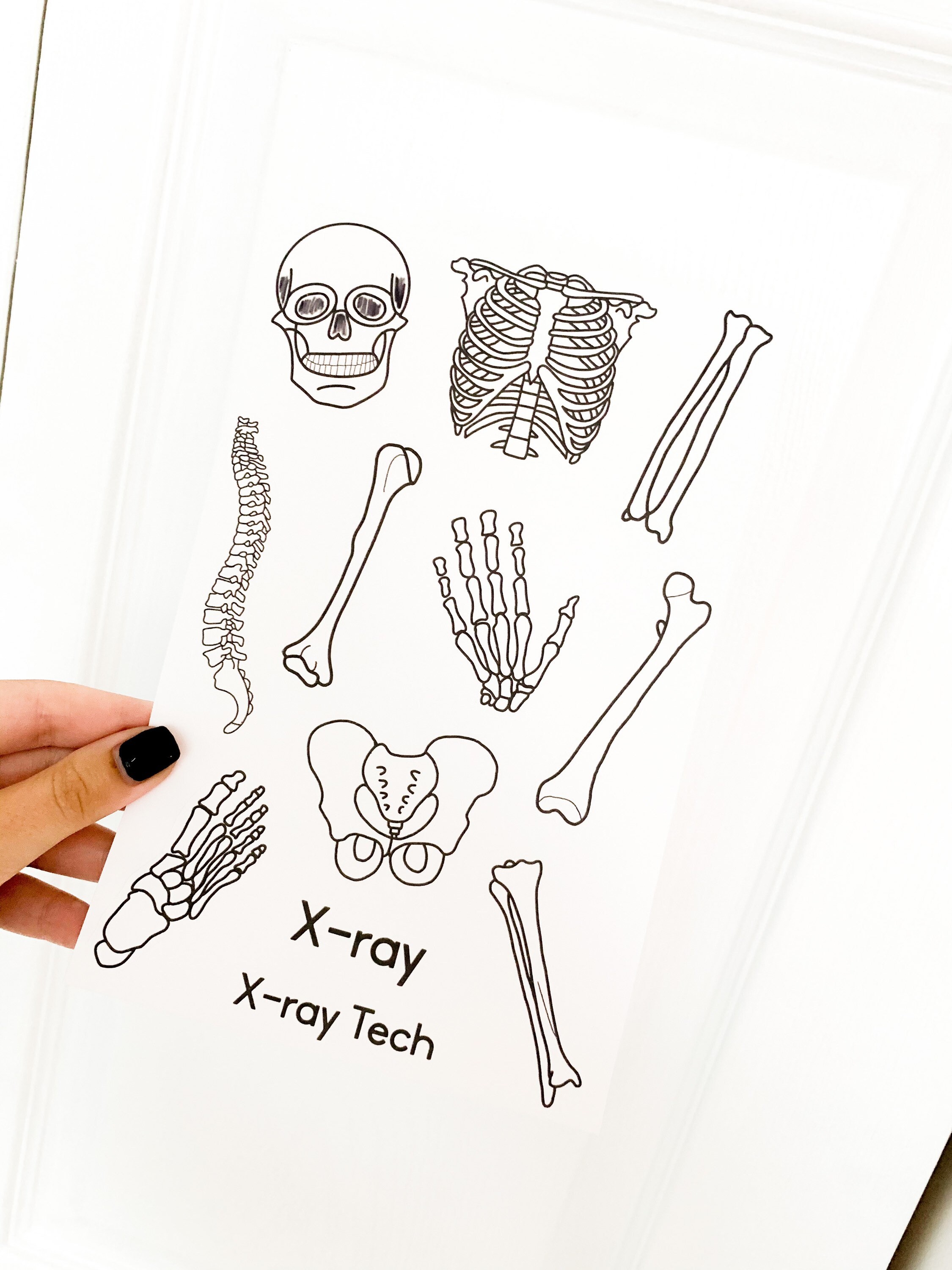 Xray Sticker Sheet, Bones Sticker Sheet, Skeleton Sticker Sheet, Xray ...