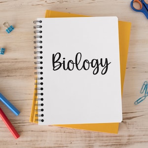 May include: A white spiral bound notebook with the word "Biology" written in black cursive on the front cover. The notebook is on a wooden table with a yellow folder underneath. There are blue paper clips, a blue pen, a red pen, and a pair of blue scissors with orange handles on the table.