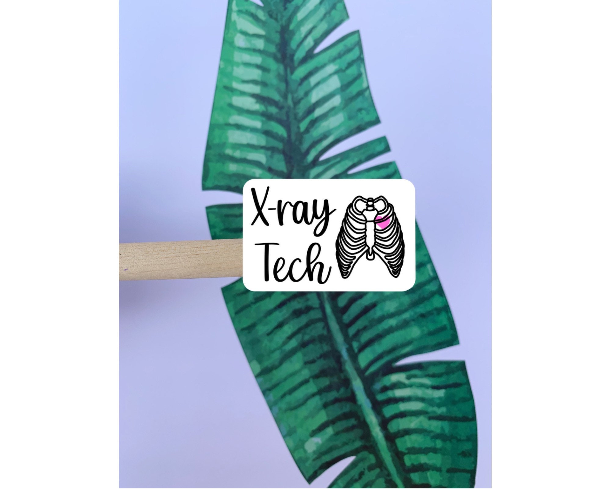 Xray Sticker Xray Tech Sticker Xray Student Xray Etsy