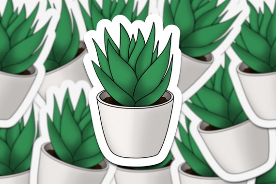 Cute Succulent Sticker 1 | Plant sticker | Waterproof stickers | quote sticker | cute cactus sticker