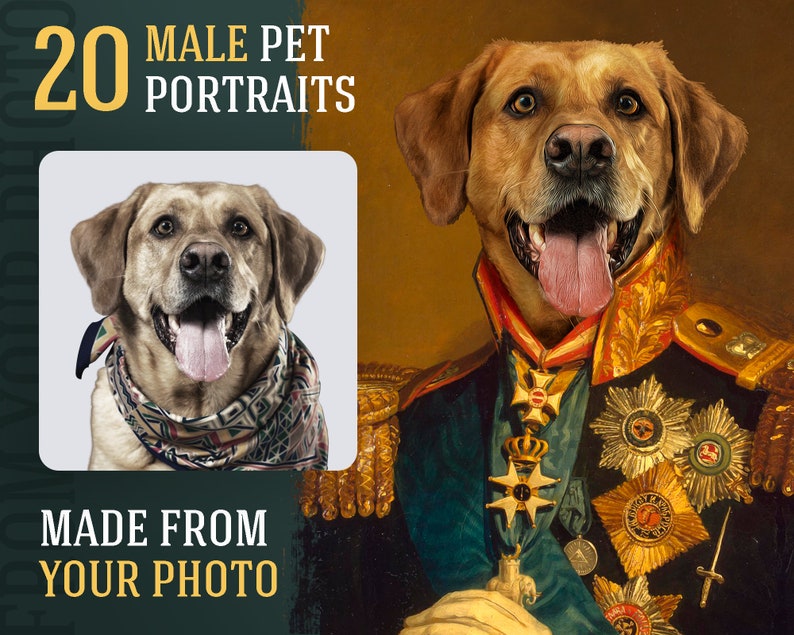 Może przedstawiać: Cyfrowy portret złotego labradora w mundurze wojskowym. Pies przedstawiony jest z szlachetnym wyrazem twarzy, w ciemnoniebieskiej kurtce ozdobionej złotymi zdobieniami i medalami. Tekst brzmi "20 MALE PET PORTRAITS" i "MADE FROM YOUR PHOTO".