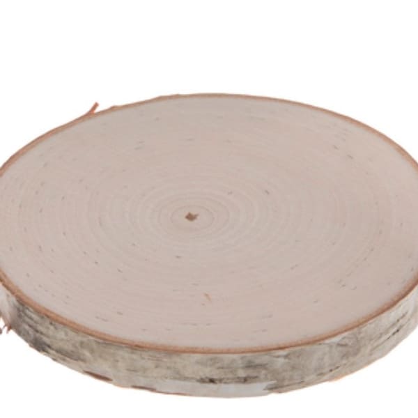 White Birch Tree, Coaster, Round Slice, Wooden Disk - Sizes: 1.5” | 3.5" | 4” | 5”