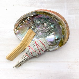 Abalone Shell, White Sage Torch, Palo Stick Smudging Kit
