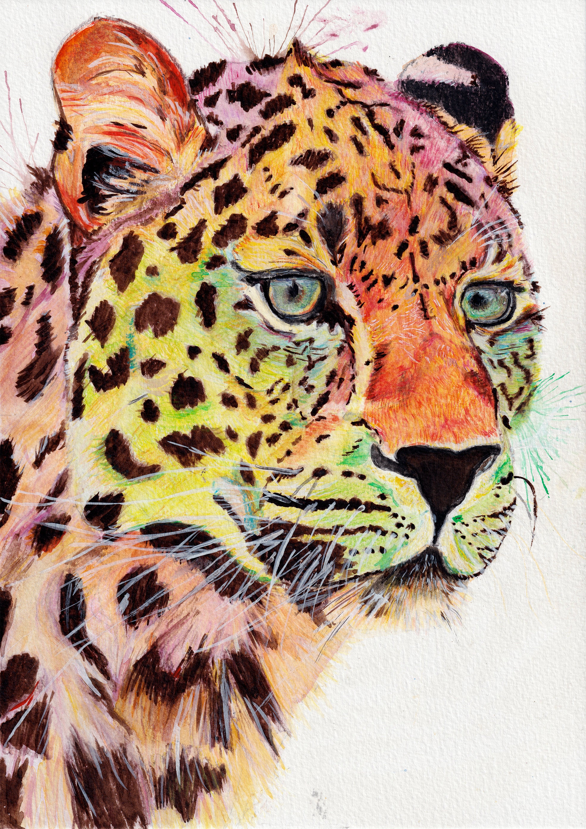 Leopard Art Prints A4 animal Print-printed on Hahnemühle - Etsy Australia Leopard Art Prints A4 animal Print-printed on Hahnemühle - Etsy Australia
