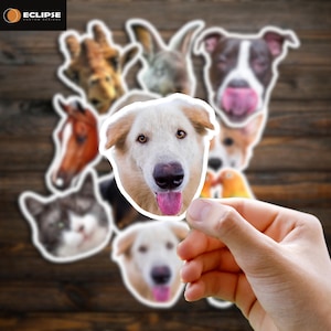 Personalized Dog Stickers - Hand Drawn  custom pet sticker, custom dog sticker, dog face sticker, sticker of my dog, stickers of my pet