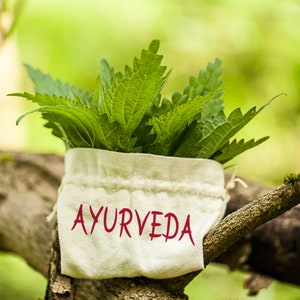 Ayurvedic Ayurveda