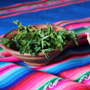 Puede incluir: Un cuenco de madera lleno de hierbas verdes frescas, sentado sobre una tela de rayas de colores.