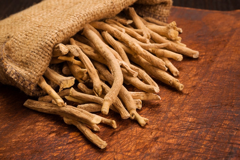 May include: A burlap sack filled with dried, light brown, thin, and long herbal roots. The roots are spilling out of the sack onto a dark brown wooden surface.