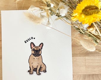 Custom Pet Portrait, Hand-Drawn Pet Illustration for Cat & Dog Lovers
