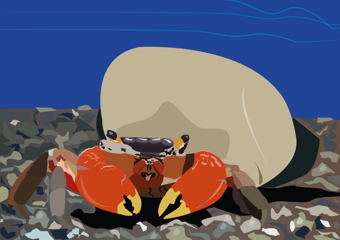 Portrush Crab Print Etsy