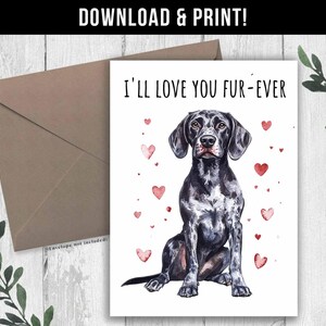 May include: A greeting card with the text "I'LL LOVE YOU FUR-EVER" and a watercolor illustration of a black and white dog, surrounded by red hearts. A brown envelope is included.