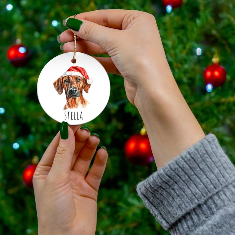 Schattige Kerst Geweien Hond Rhodesian Ridgeback 2D Acryl Kerst Ornamenten, Huisdier Hond Keepsake, Hangende Ornamenten voor Kerstbomen Bollen Nieuwjaars Vakantie Souvenir Stook Cadeaus