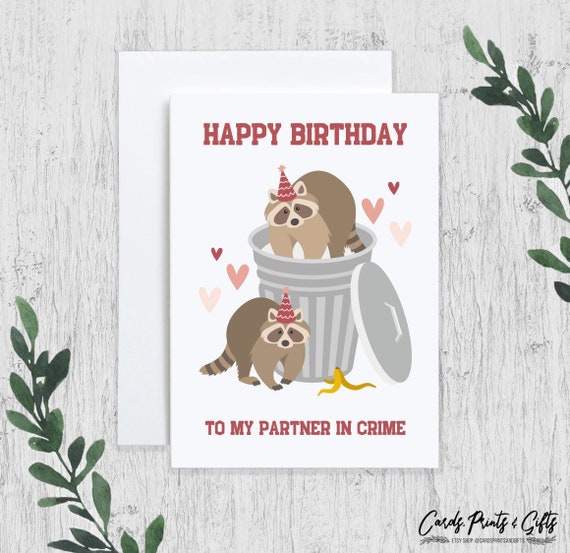 Funny Raccoon Birthday Card, Cute Birthday Card for Friend, Funny Birthday Card for Her, Girlfriend, Wife, Silly Raccoon in Trash Can Card
