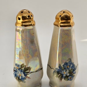 Vintage Handpainted Floral Salt & Pepper Shakers - Set of 2