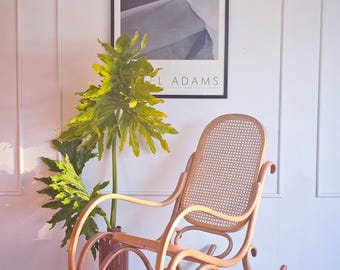 Vintage Bentwood Rocking Chair: MCM Retro Rocker, Cane Seat