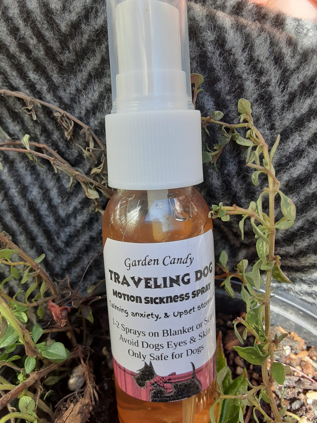 View of Traveling Dog, Motion Sickness Spray - Etsy