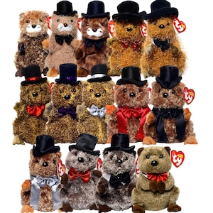 May include: A selection of plush groundhogs, each sporting a top hat and a bow tie or scarf. The groundhogs are in shades of brown and tan, with some wearing red, black, or silver accessories. Each plush has a TY tag.