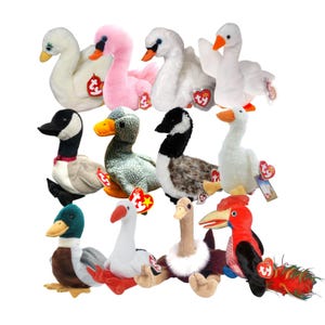 Puede incluir: Una colección de peluches de aves, incluyendo cisnes, gansos y patos. Los juguetes presentan varios colores, incluyendo blanco, rosa, negro y verde, con picos naranjas y amarillos. Cada juguete tiene una etiqueta.