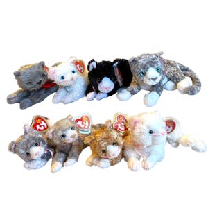 Op de afbeelding: Een verzameling van acht pluche katten speelgoed. De katten zijn in verschillende kleuren en patronen, waaronder grijs, wit, zwart en bruin. Ze liggen allemaal met hun poten uitgestrekt. Elke kat heeft een rood label aan zijn oor met het woord "Ty" erop.