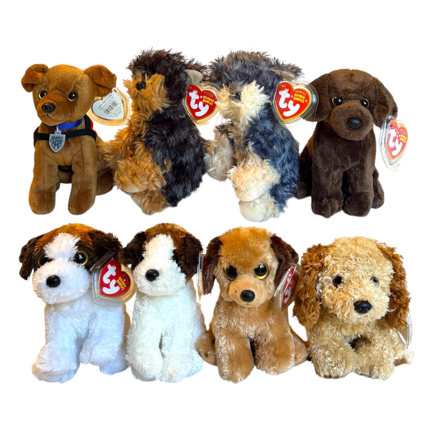 Beaniebaby　ジュエルオーキッド５株 Ty Beanie Babies Dogs Tyger, Cocoa, Yodel, Houston, Dr. Jack the