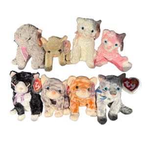 Ty Beanie Babies Katzen Bernstein, Silber, Scat, Fancy, Fussy, Frisco, Fluff, Carnantion