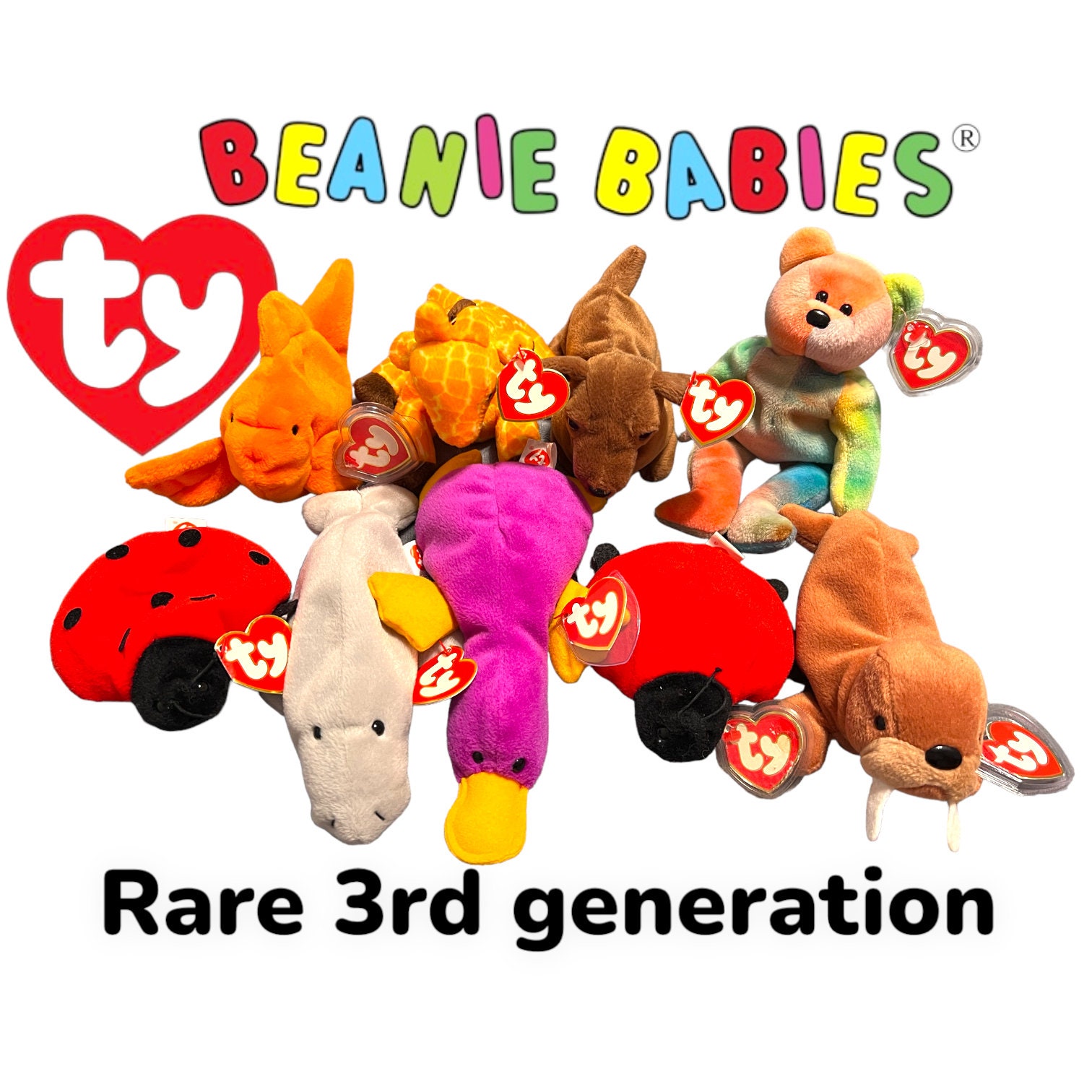 TY beanie Baby&Buddy /ビーニーベイビーズ＆バディ☆クマ
