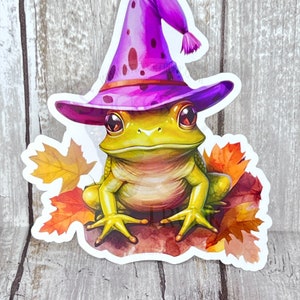 Frog Witch Sticker, Frog Stickers, Witch Hat, Fall Stickers, Cute Frog Sticker, Halloween Sticker