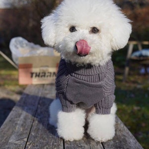Knitted Dog Sweater - Fall/Winter Turtleneck, Warm & Soft for Small and Medium Dogs - Holiday Pup Gift!