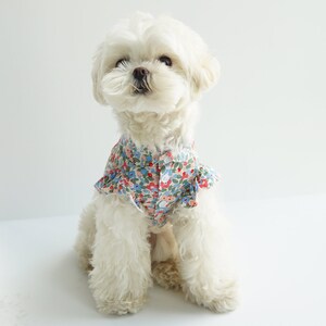 Dog Hawaiian Button Down Dress Summer Fun Floral Pattern for - Etsy