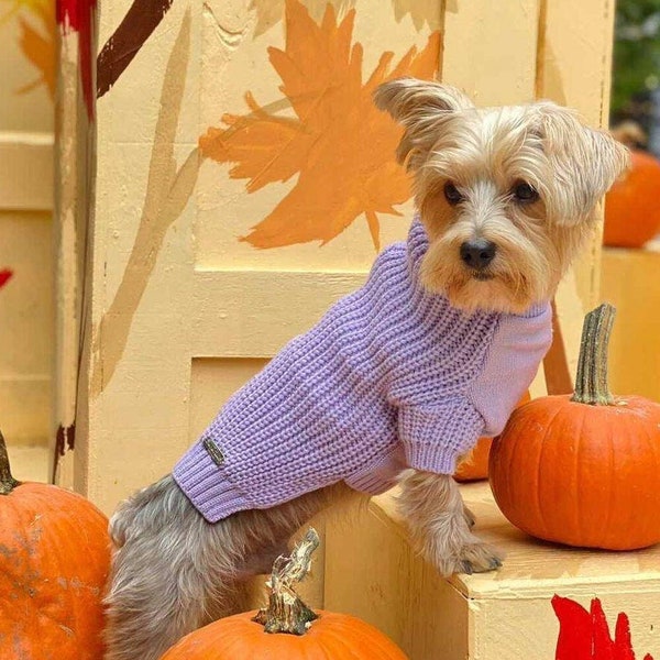 Artisanal knit dog sweater  for fall & winter. Cozy turtleneck with sleeves. Warm and soft for puppies small and medium dogs. Holiday gift!