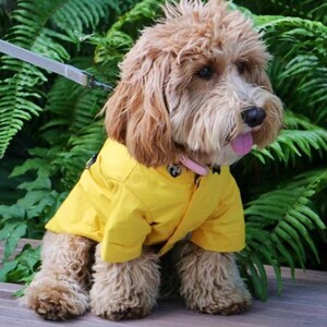 Charles river dog raincoat sales