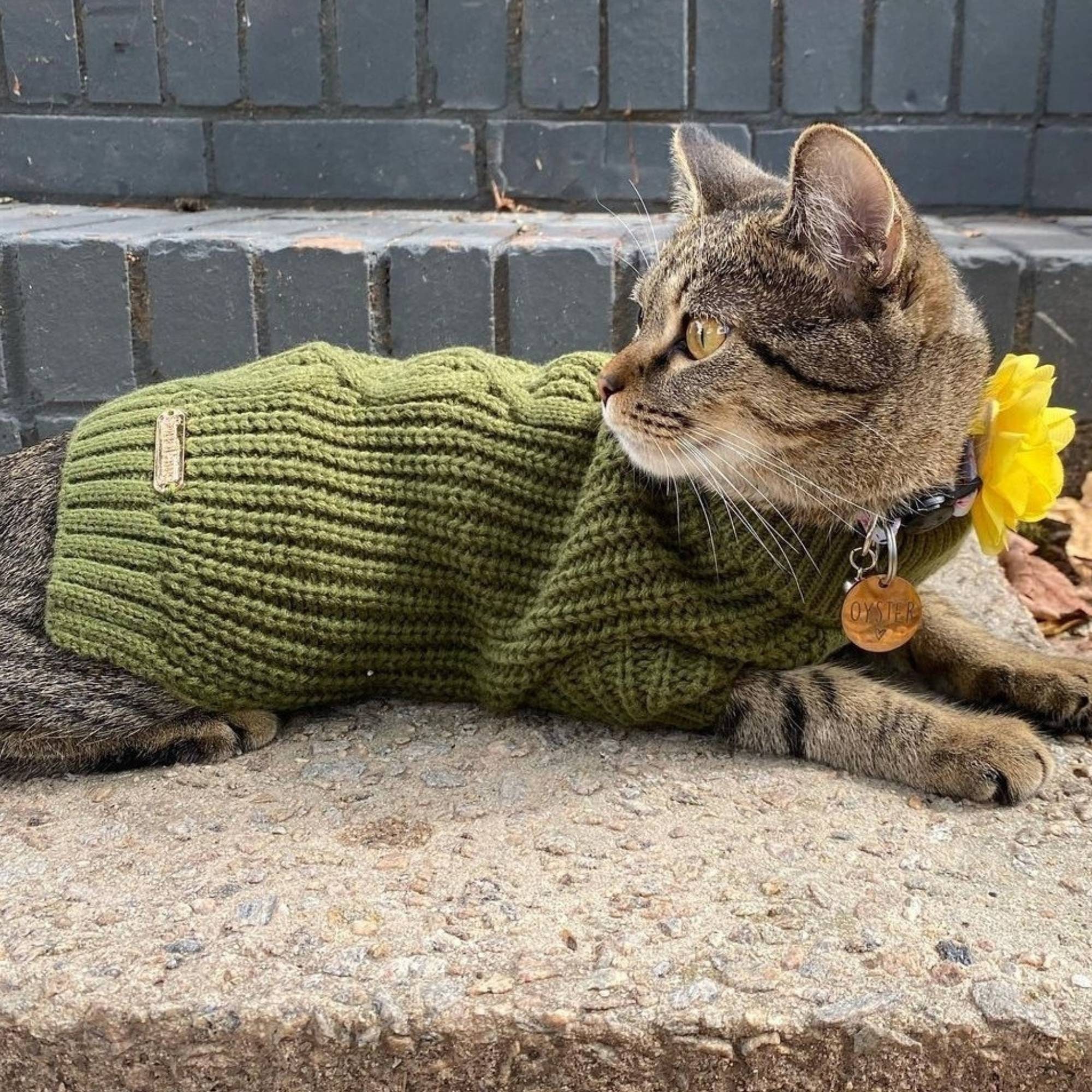 Novelty Sweater - Tourmaline Marl Cat