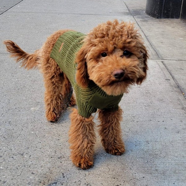 Knitted dog sweater for fall and winter. Warm turtleneck knit with sleeves for mini XS small or medium dogs. Perfect holiday puppy gift