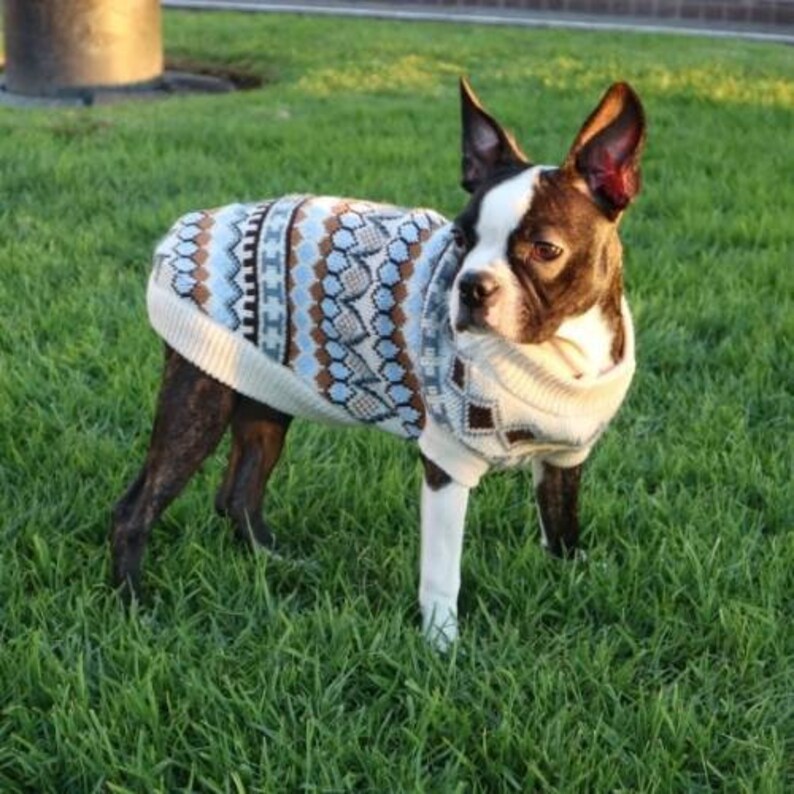 Boho Knit Dog Sweater Cozy Artisanal Style for Small Dogs W/ Etsy