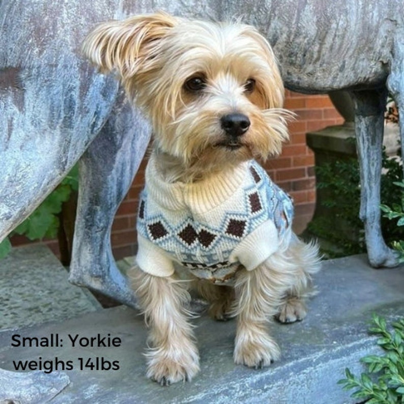 Puppy wearing a handcrafted boho-inspired sweater in white. Put your dog in a warm pullover that is stylish and lasts a long time.