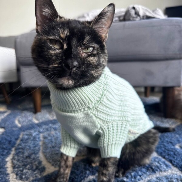 Cat Sweater Etsy