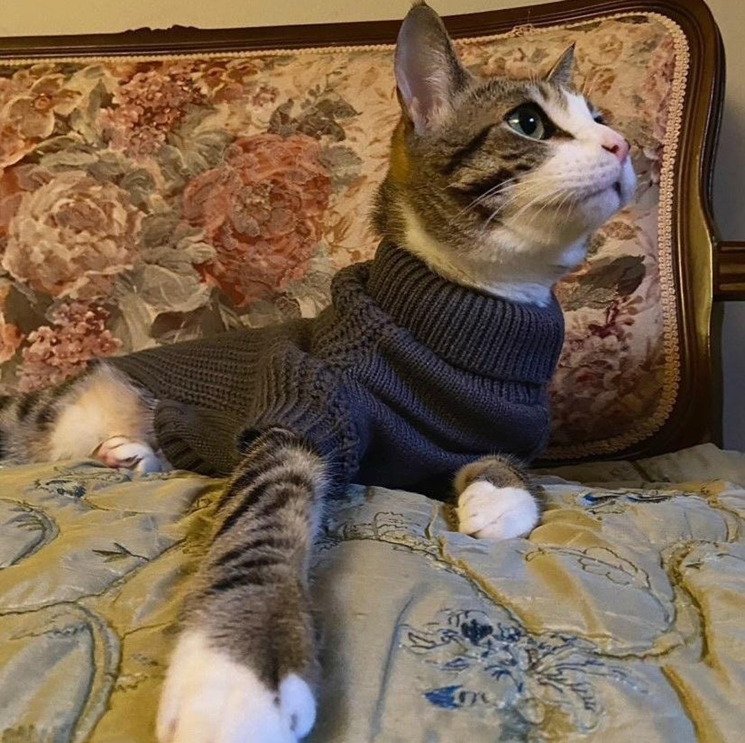 Cozy Cat Sweater With Sleeves. Highquality Designer Cat Turtleneck