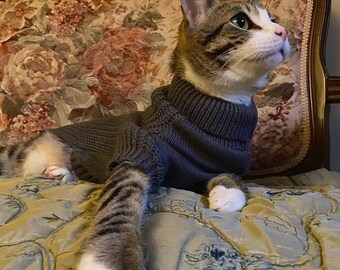 kitty sweaters