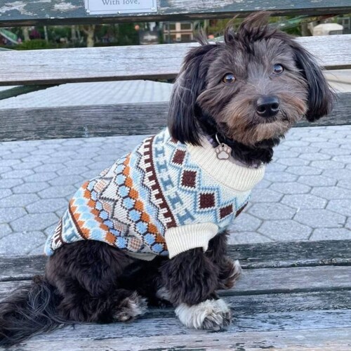 boho dog clothes
