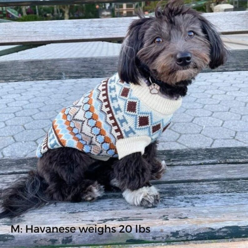 Puppy wearing a boho-inspired pullover. Put your dog in a warm pullover that is stylish and lasts a long time.