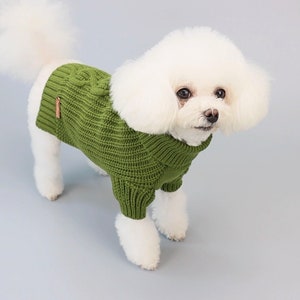 Knitted dog sweater with mini sleeves. Keep your pup warm with cute turtleneck. Ideal gift for the holidays or winter