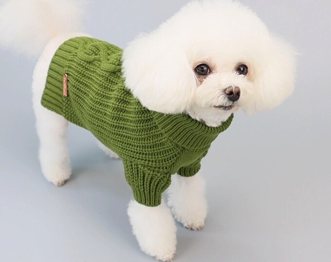 Knitted dog sweater with mini sleeves. Keep your pup warm with cute turtleneck. Ideal gift for the holidays or winter