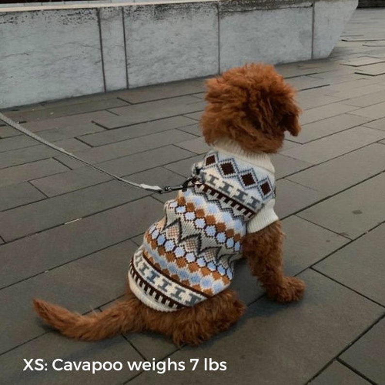 Puppy wearing a fancy boho-inspired sweater. Wrap your pup in a fancy sweater that is both soft and tough for the cold.