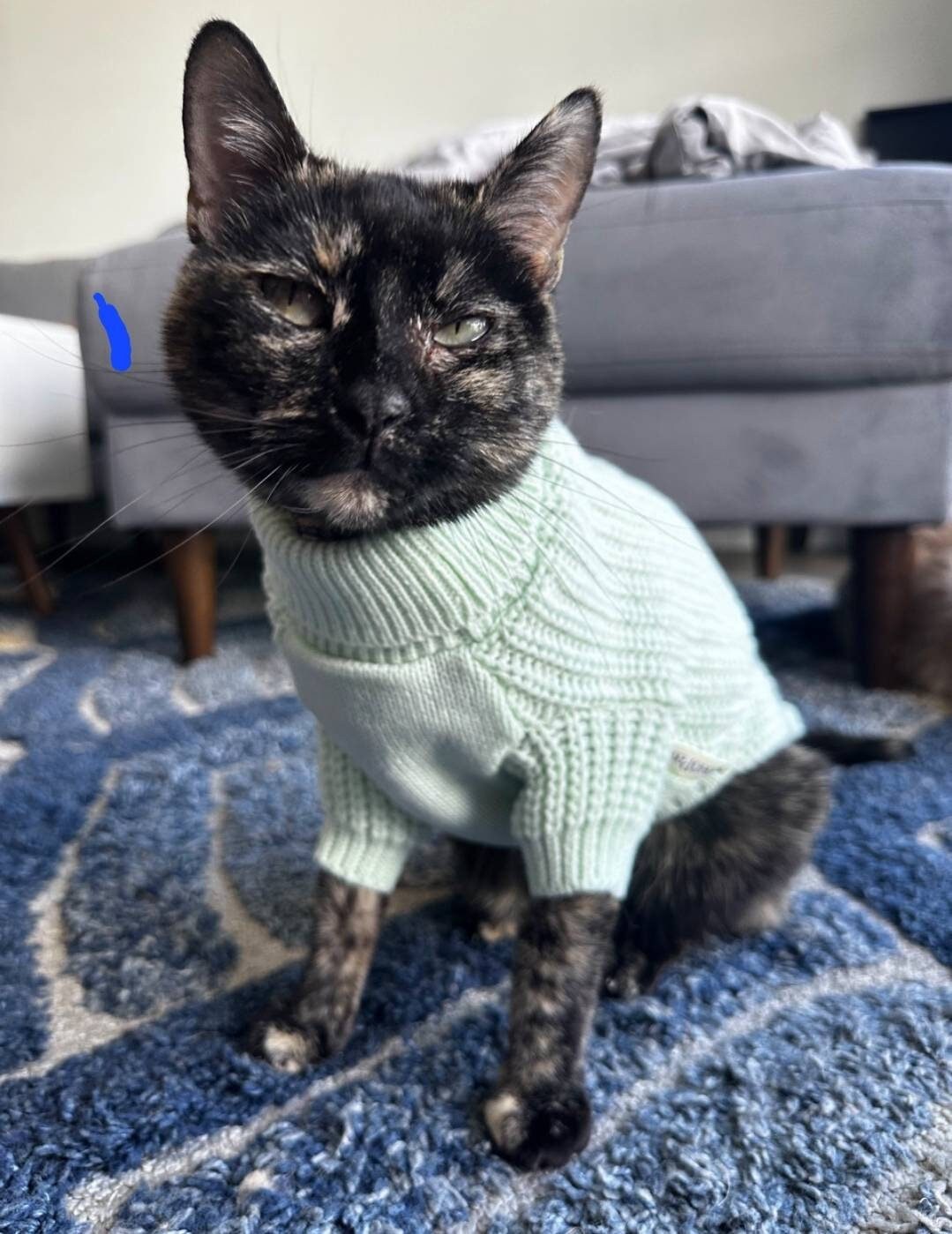 Handknit Cat Sweater With Sleeves 