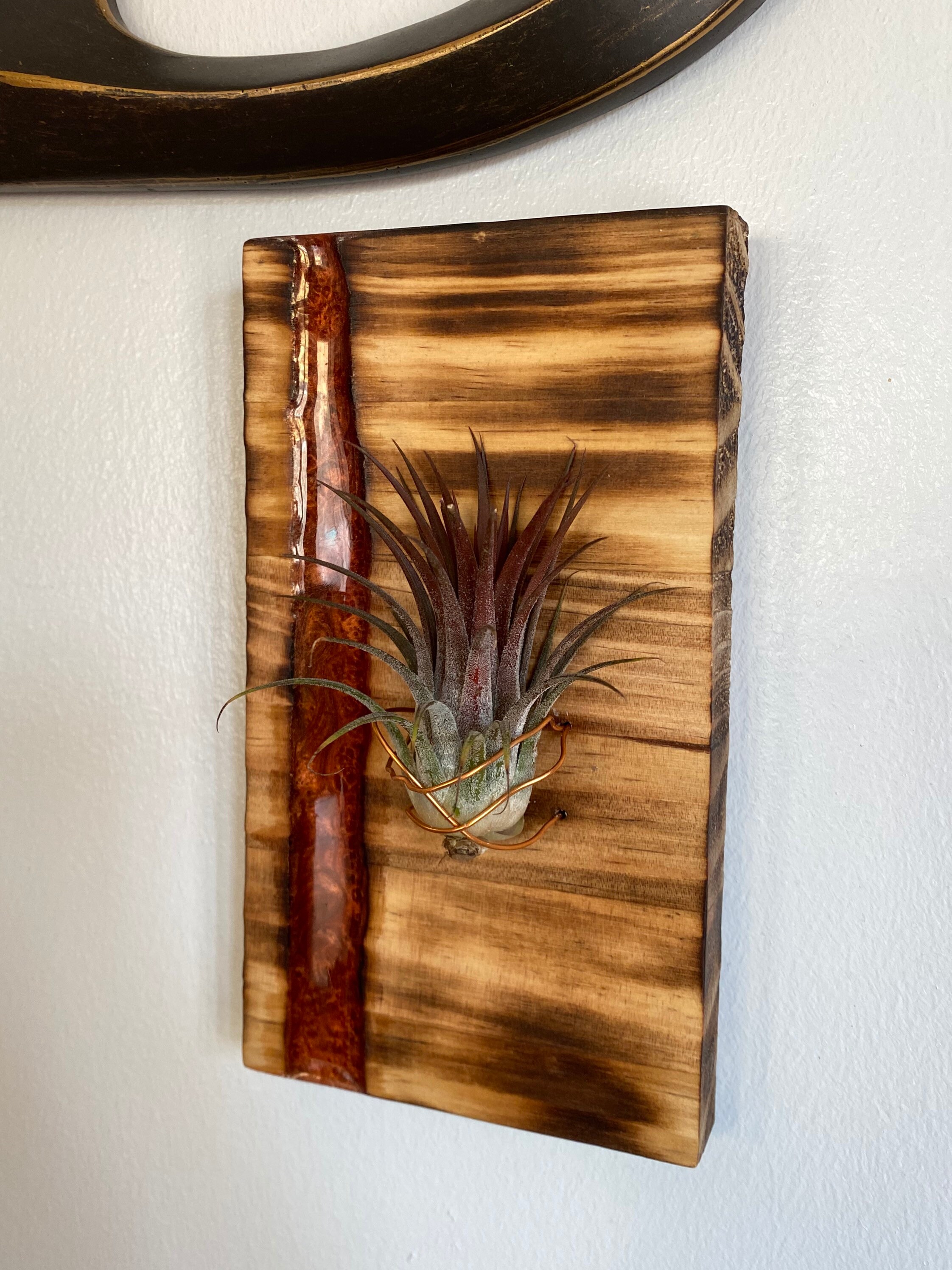 Soporte de planta de aire de madera y resina recuperada | Etsy