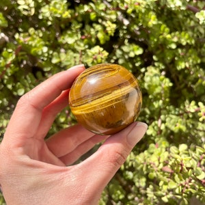 Tigers Eye Sphere 2” 210g stand included