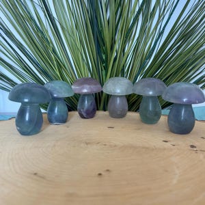 Natural Rainbow Fluorite Mushrooms