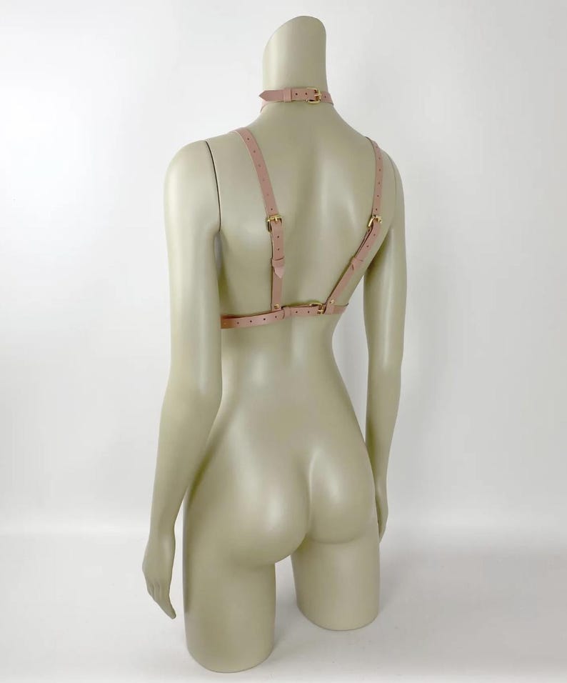 Puede incluir: Un arn&eacute;s de cuero rosa rubor con un choker a juego. El arn&eacute;s presenta correas ajustables y herrajes met&aacute;licos de color dorado. El dise&ntilde;o incluye un choker, correas para los hombros y una correa para el pecho, todo conectado con hebillas met&aacute;licas.