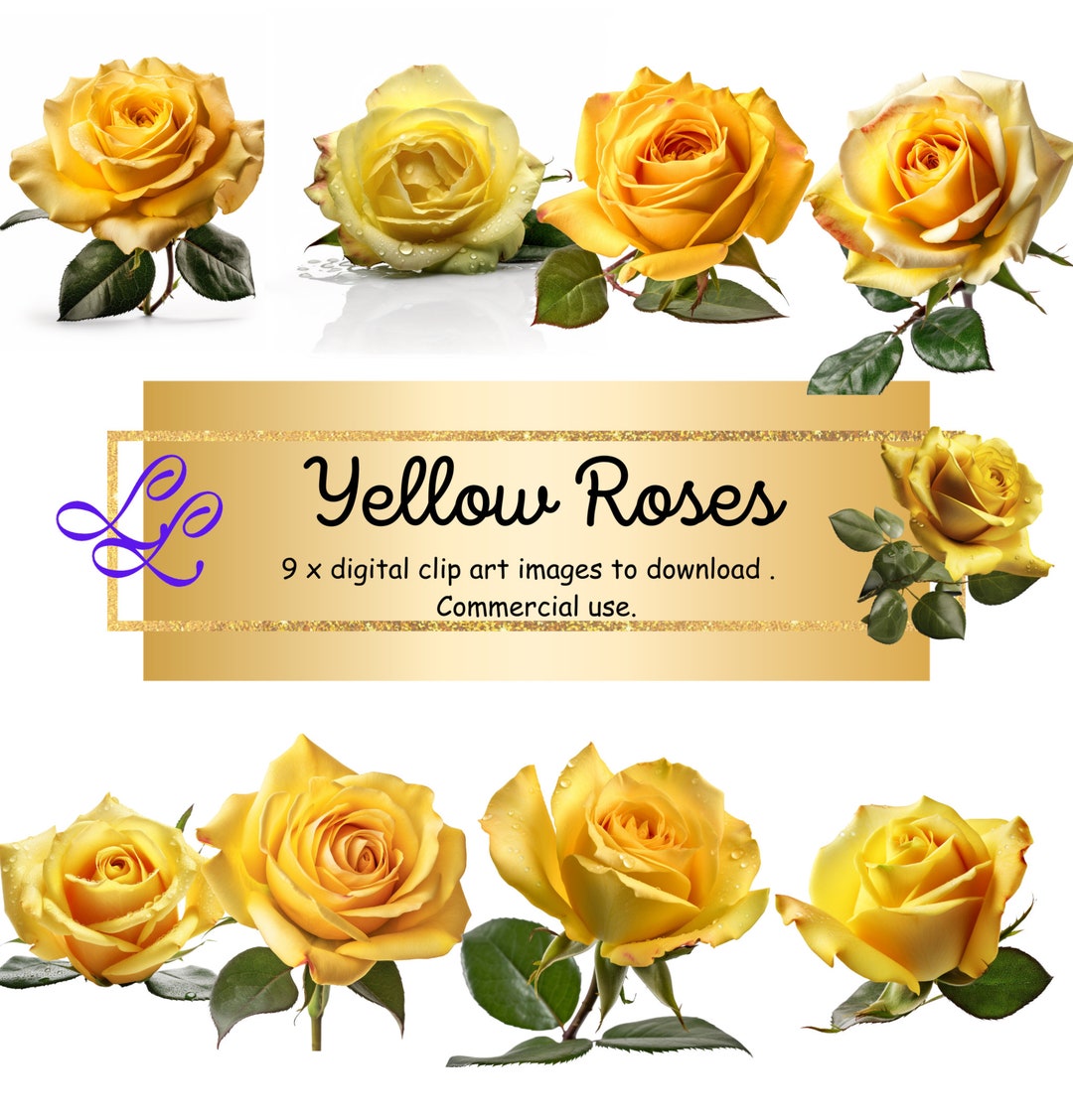 Yellow Roses Digital 9 X Beautiful Yellow Rose Digital Clip Art Images to Download ...